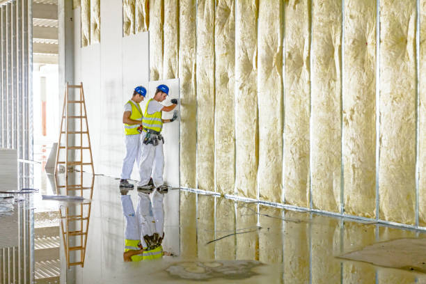 Best Garage Insulation  in Trail Creek, IN